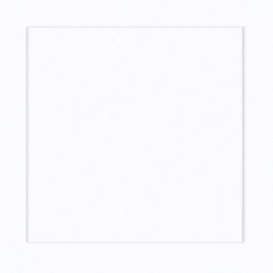 AZULEJO BRANCO 20X20
