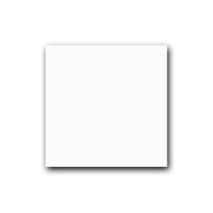 PISO ALPHA WHITE ACETINADO RT PROMOCAO